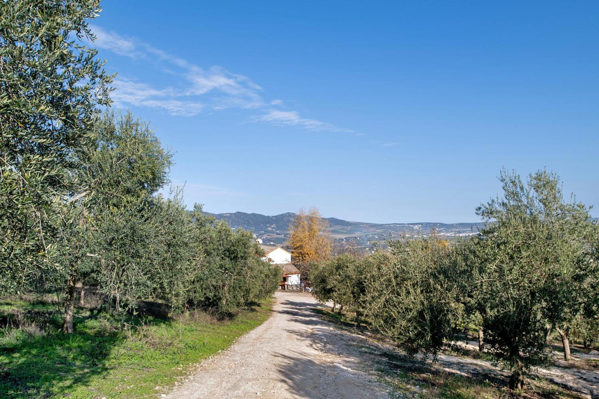 Casa Rural Fuente Dulce Ronda Bagian luar foto